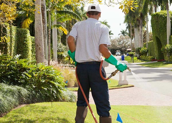 About Kingsford Heights IN Pest Control Pros